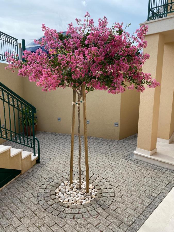 Mimoza Appartement *